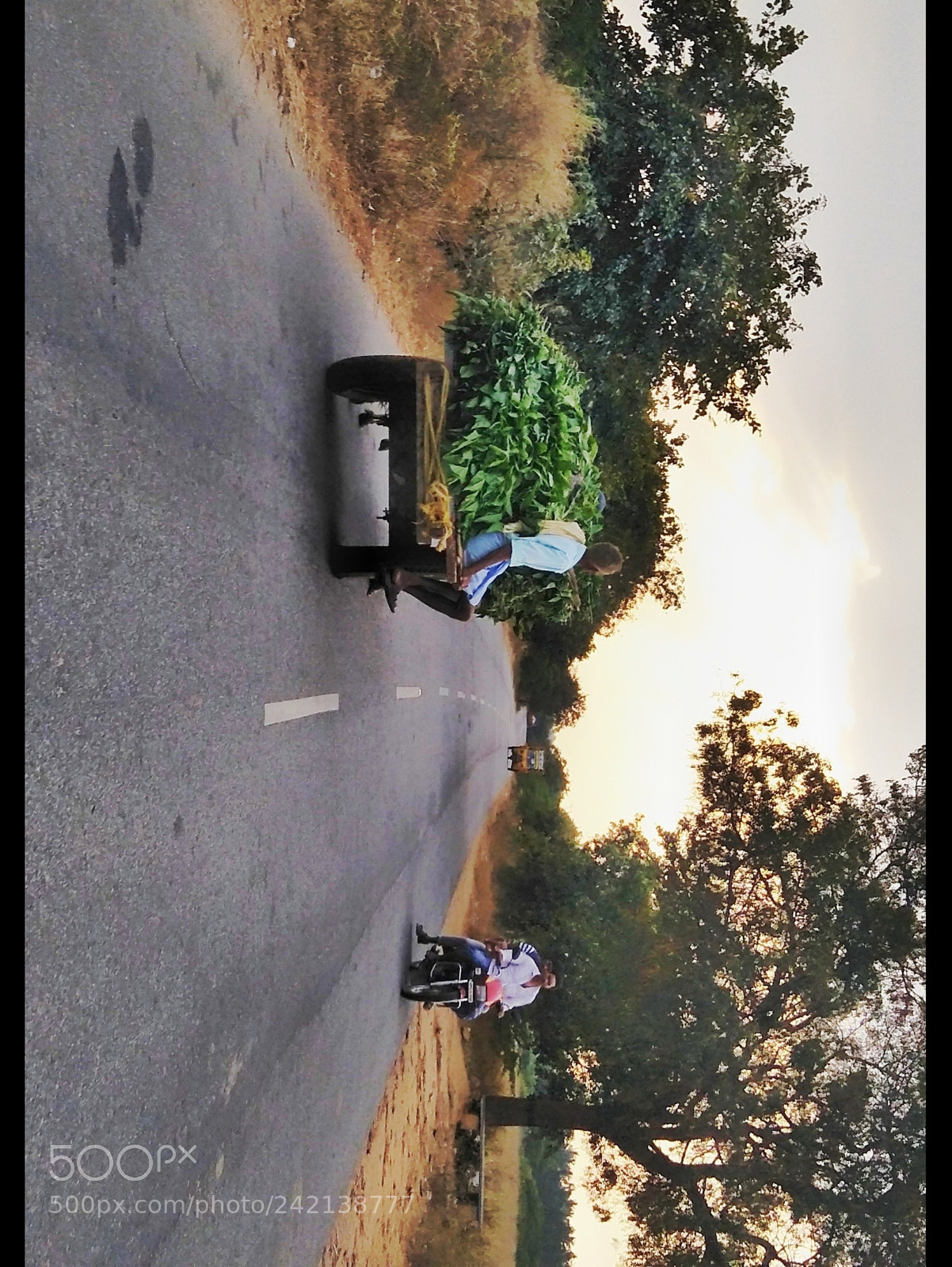 OPPO CPH1701 sample photo. Right hand drive photography