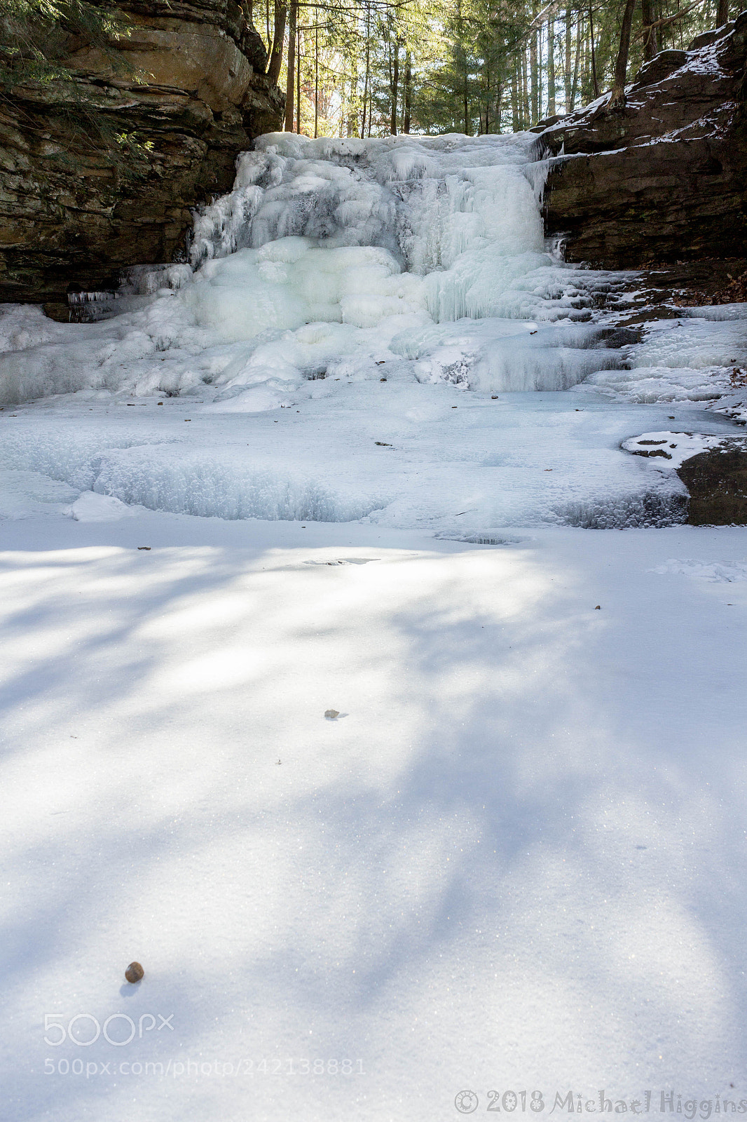 Canon EOS 1200D (EOS Rebel T5 / EOS Kiss X70 / EOS Hi) sample photo. Honey run frozen photography