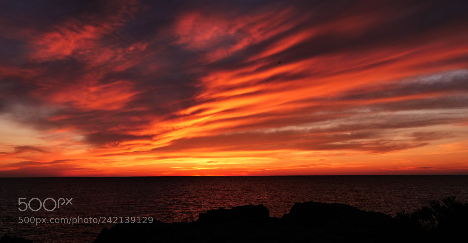 Panasonic Lumix DC-GH5 sample photo. Burning sky photography