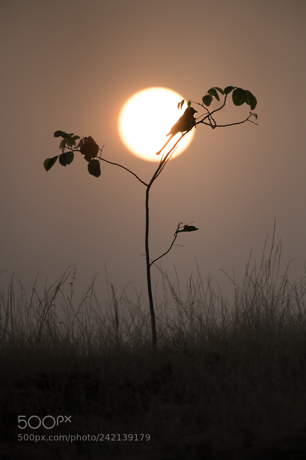 Nikon D850 sample photo. A last sunset in photography