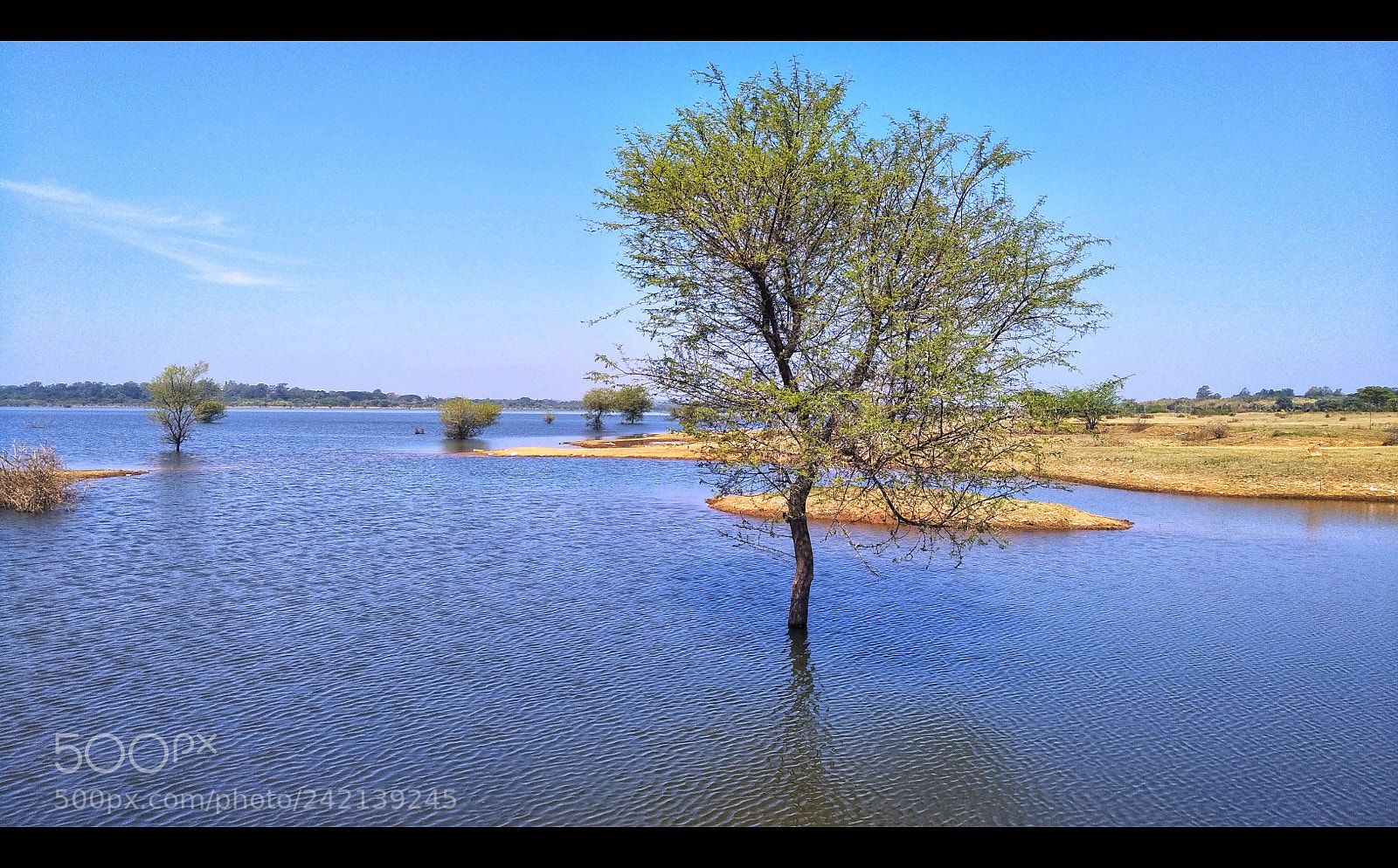 OPPO CPH1701 sample photo. Lake view photography