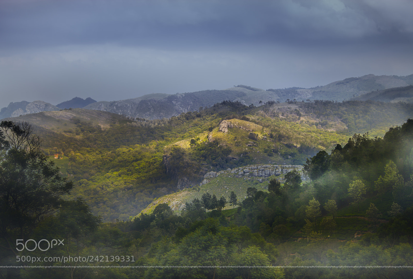 Canon EOS 550D (EOS Rebel T2i / EOS Kiss X4) sample photo. Misty mountains - western photography