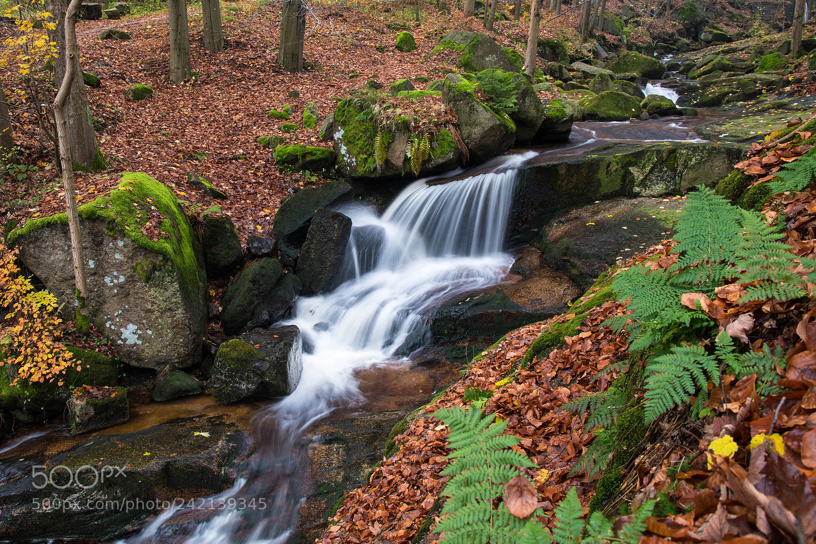 Nikon D500 sample photo. Jizera mountains photography