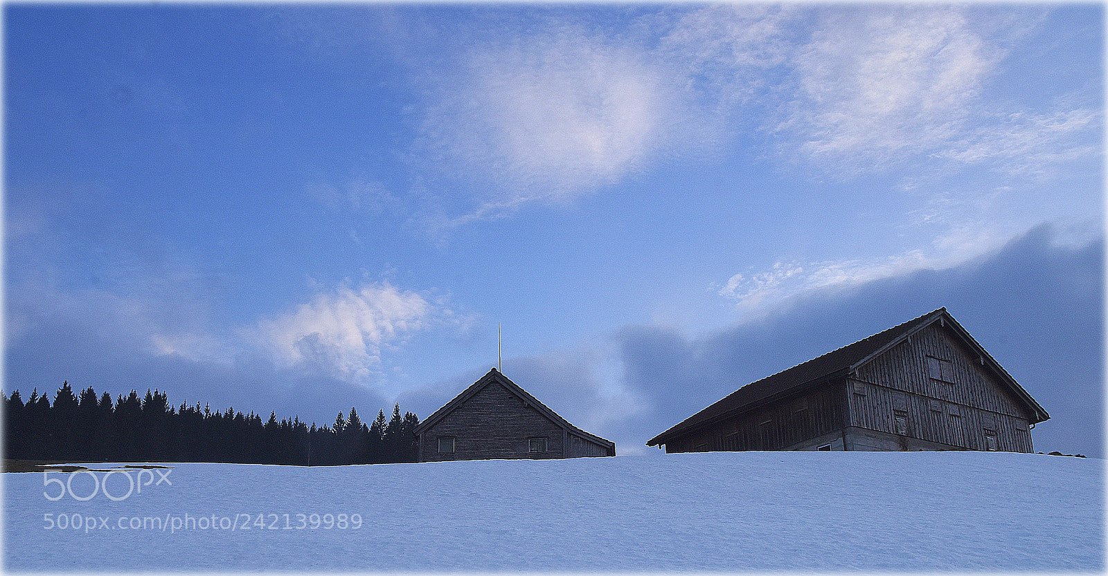 Nikon D810 sample photo. "alp" photography