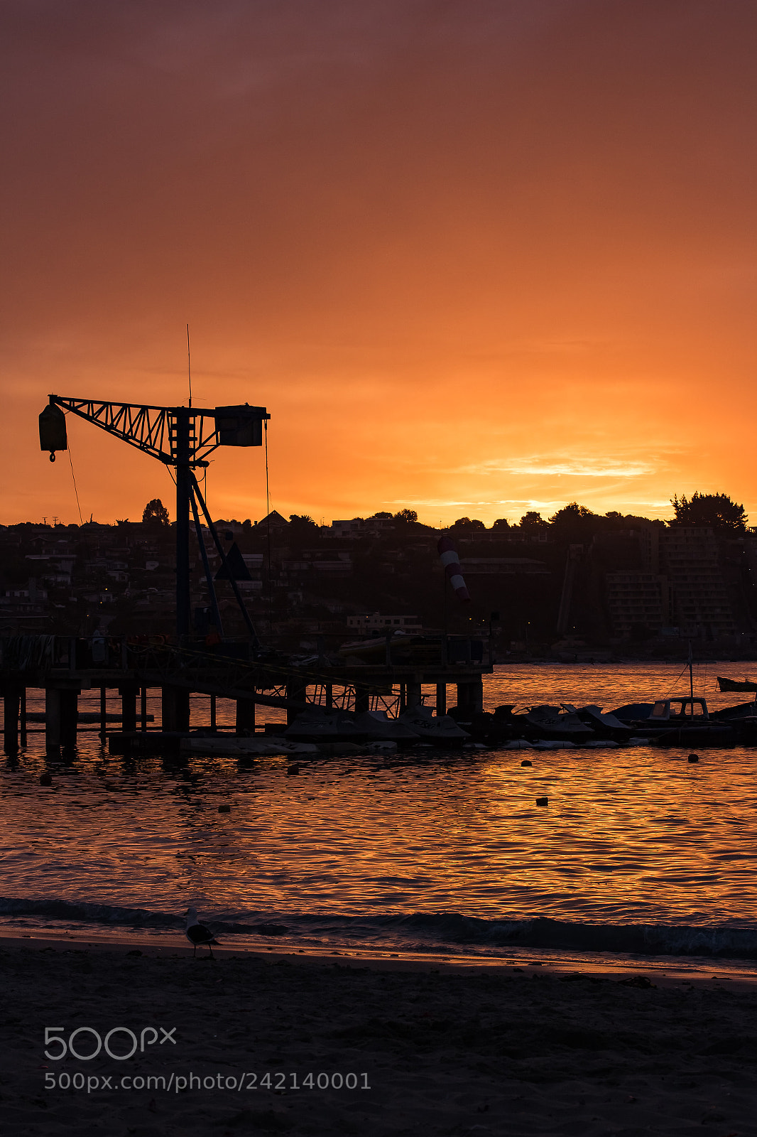 Canon EOS 700D (EOS Rebel T5i / EOS Kiss X7i) sample photo. Reflections of the sunset photography