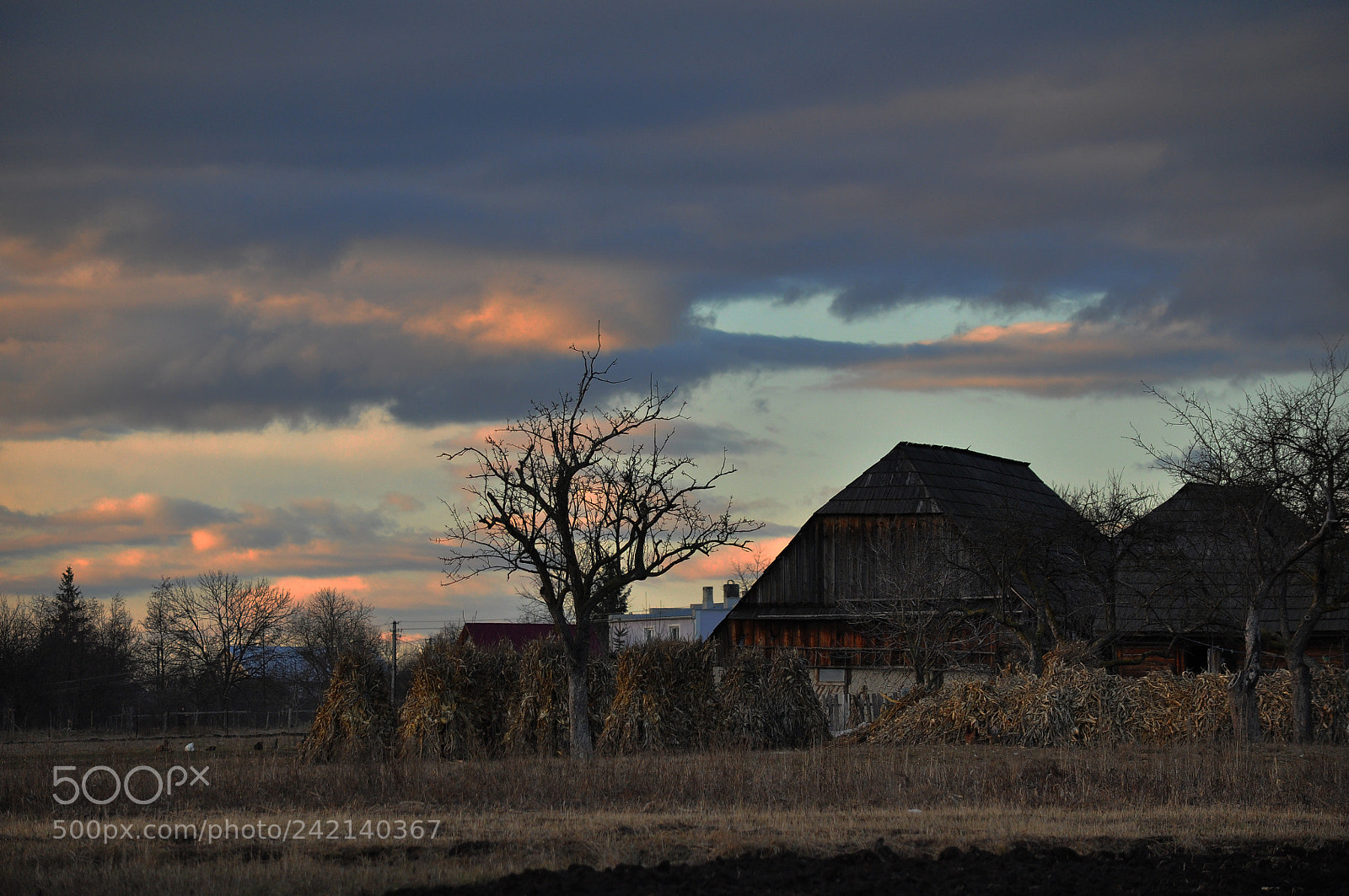 Nikon D90 sample photo. Untitled photography