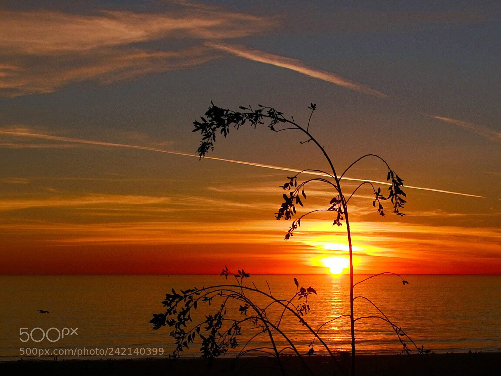 Sony Cyber-shot DSC-RX100 III sample photo. Sundown photography