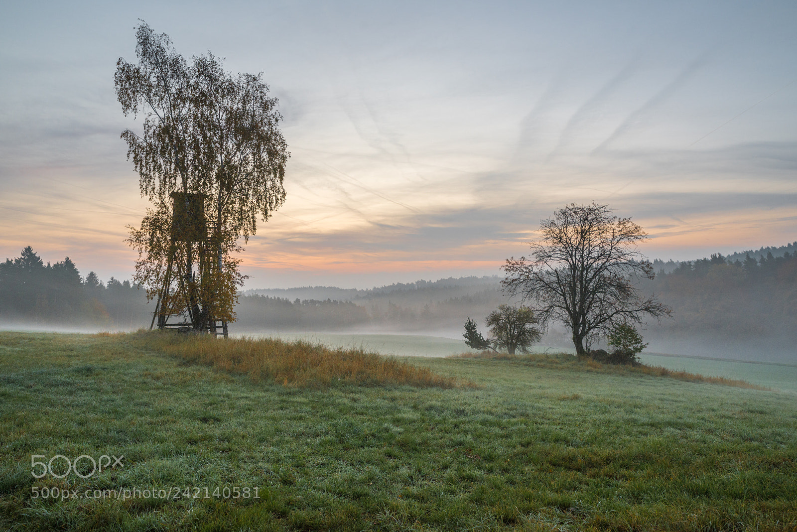 Pentax K-1 sample photo. Foggy sunrise photography