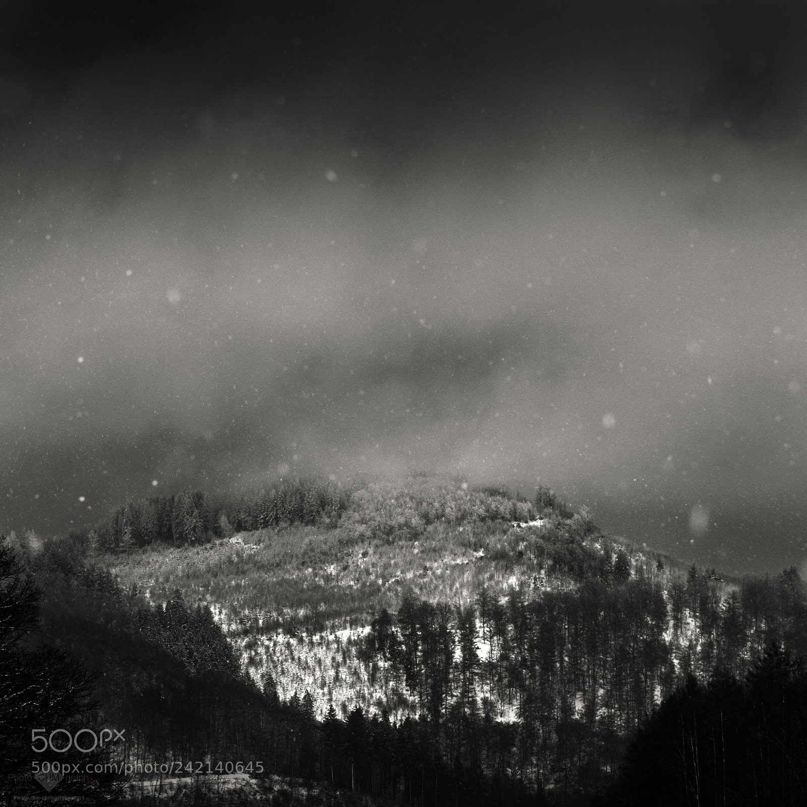 Nikon D7100 sample photo. Snow (winter #2) photography