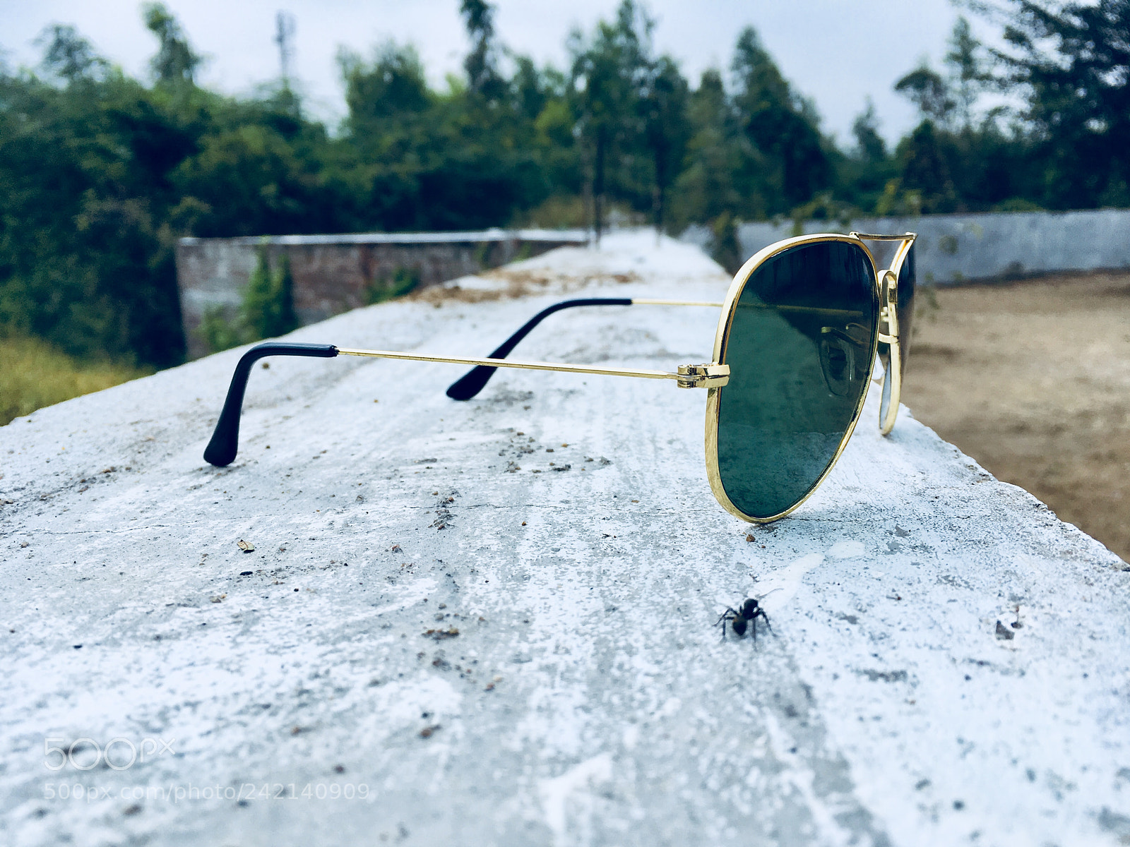 Apple iPhone SE sample photo. Lost vision photography