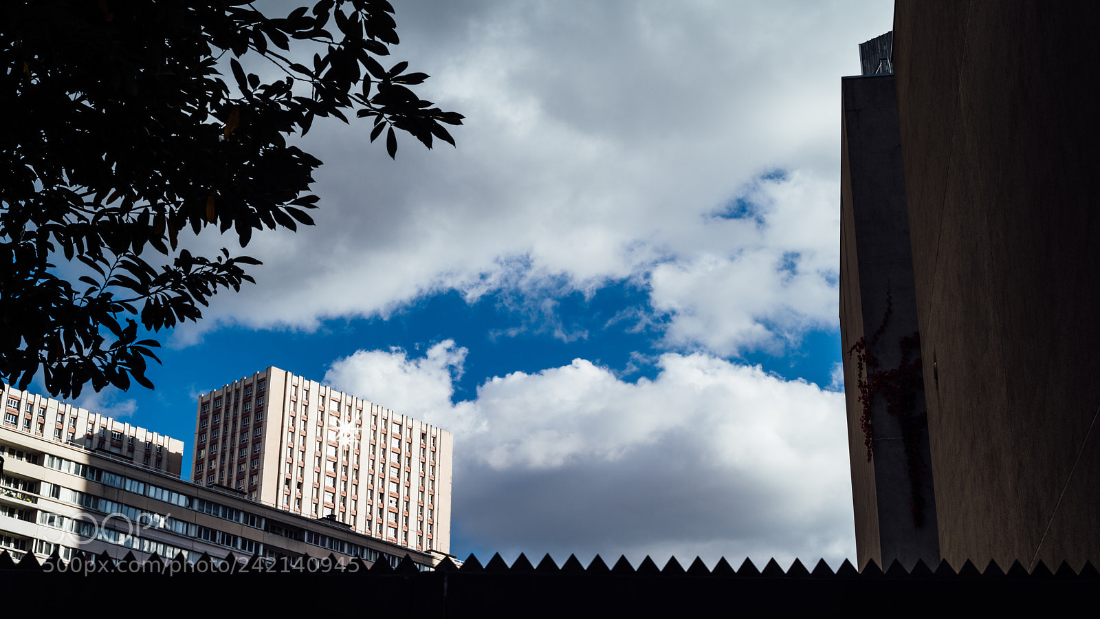 Pentax K-1 sample photo. Untitled photography