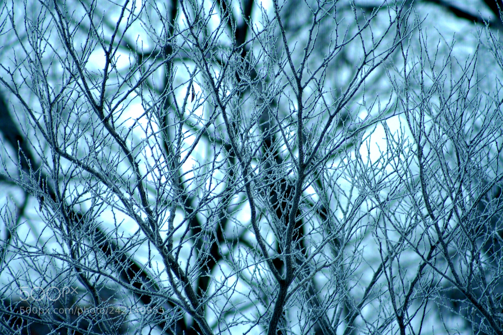 Canon EOS 350D (EOS Digital Rebel XT / EOS Kiss Digital N) sample photo. Moody  blue photography