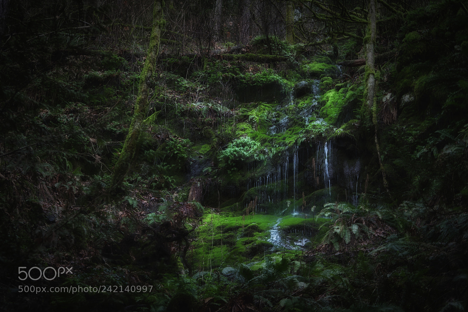 Canon EOS 50D sample photo. Waterfall in the forest photography