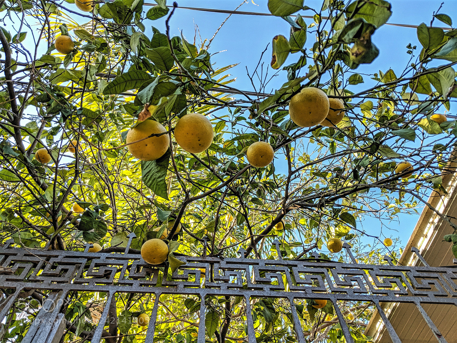 Google Pixel 2 XL sample photo. Img_20180111_150443-02.jpg photography