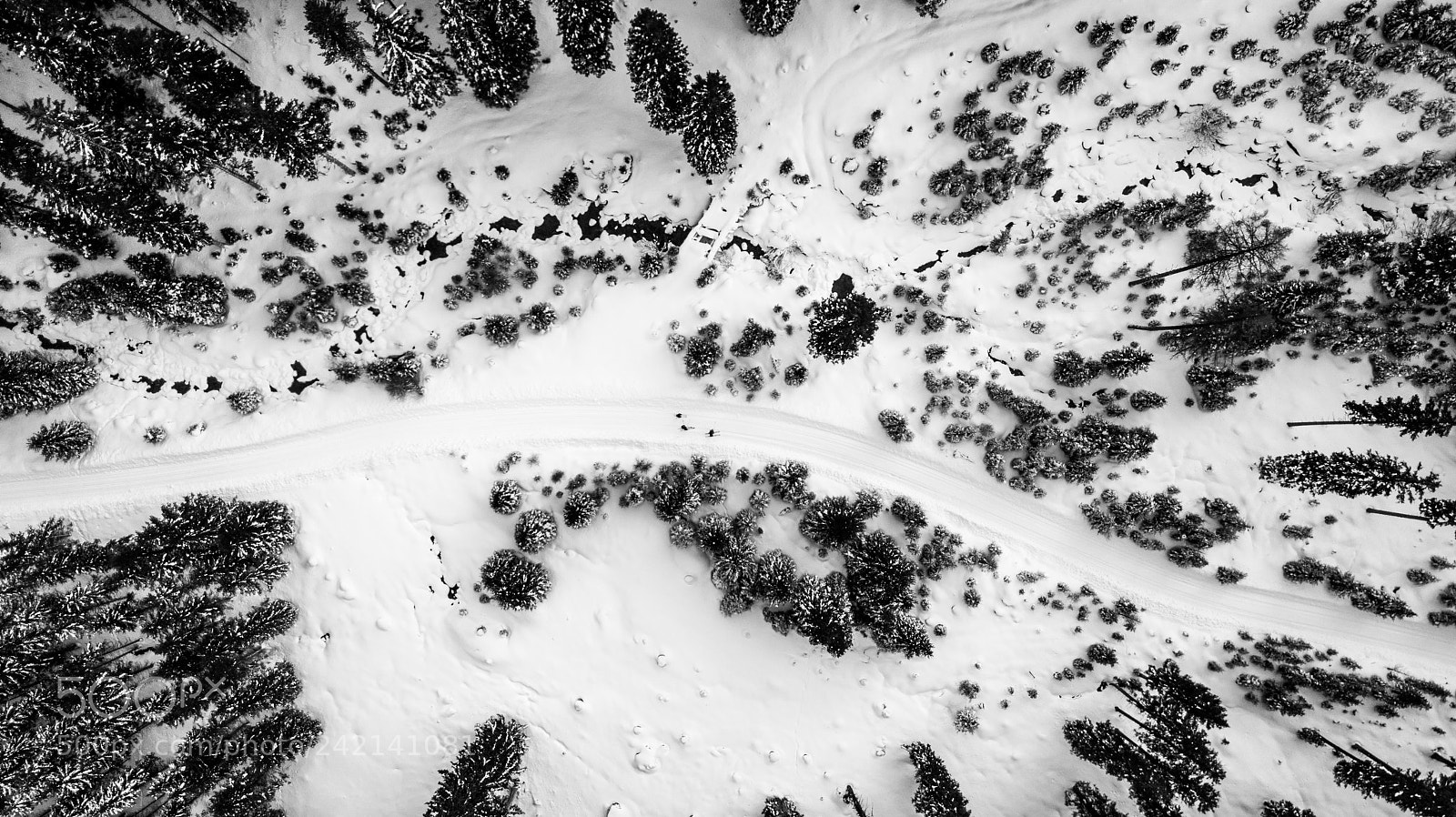 DJI FC220 sample photo. Birds eye view in photography