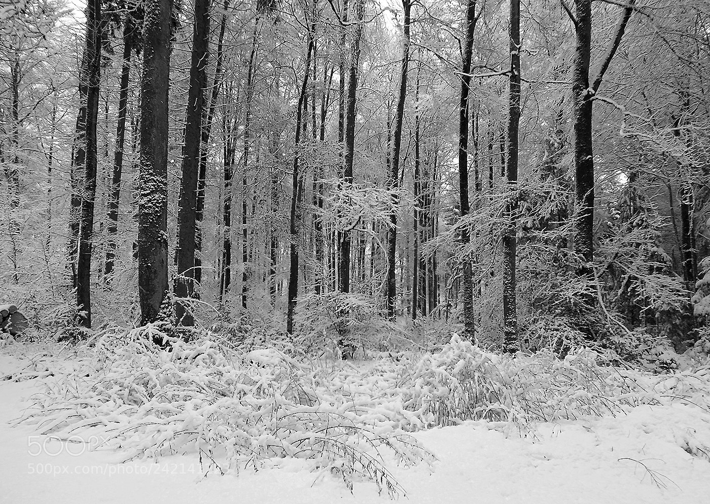 Fujifilm FinePix HS30EXR sample photo. ... winter impressions ... photography