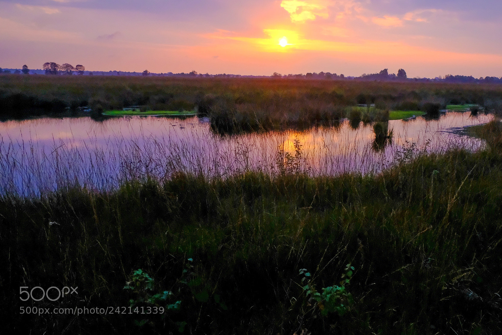 Fujifilm X-Pro2 sample photo. Sunset photography
