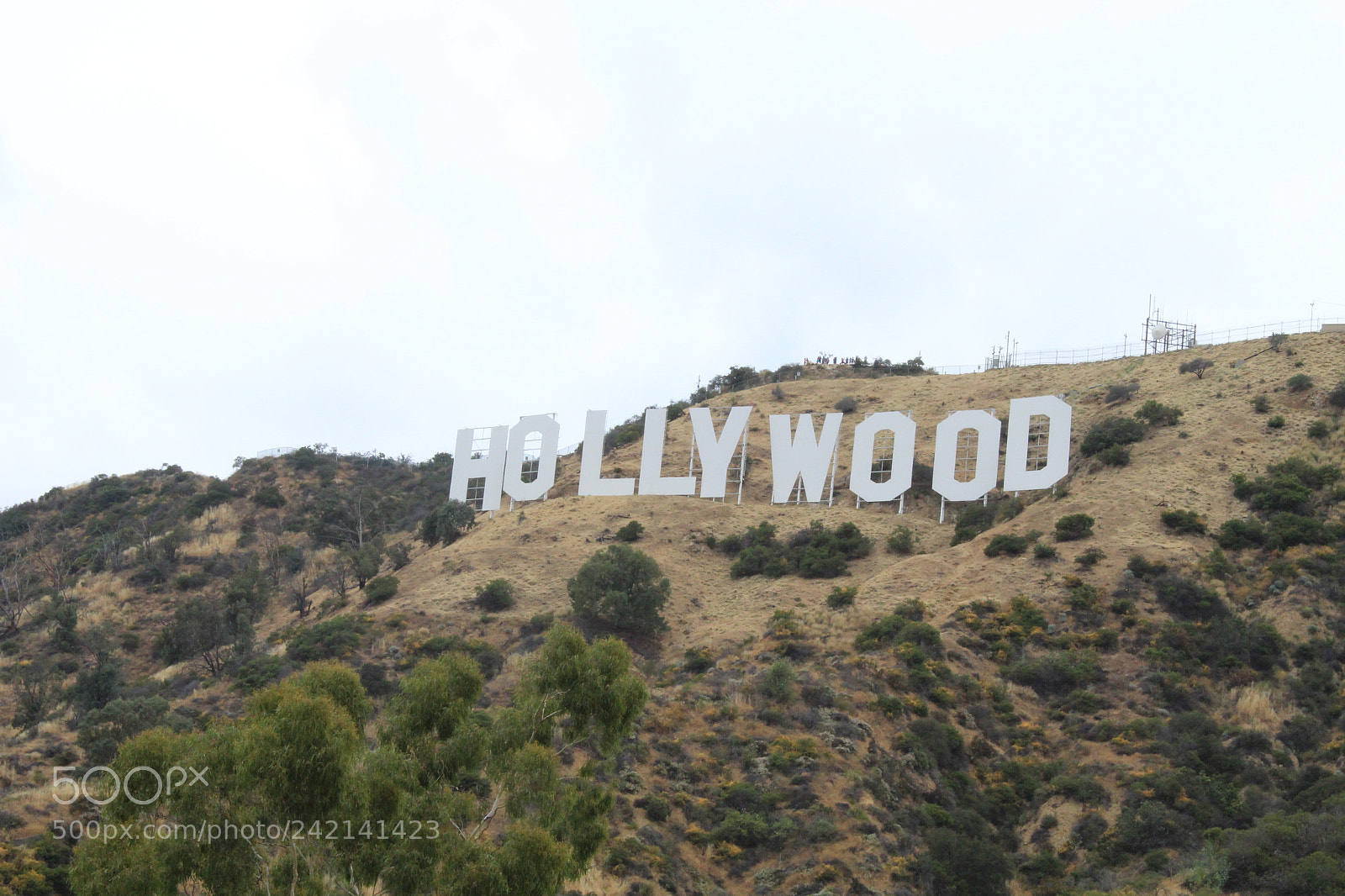 Canon EOS 1300D (EOS Rebel T6 / EOS Kiss X80) sample photo. Hollywood photography