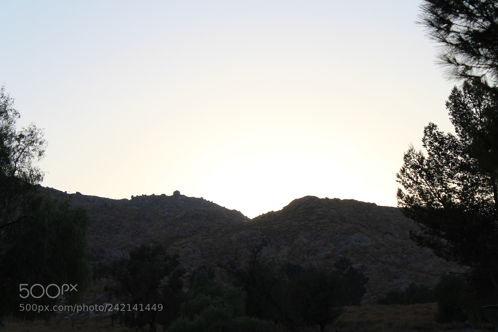 Canon EOS 1300D (EOS Rebel T6 / EOS Kiss X80) sample photo. Heart sun photography