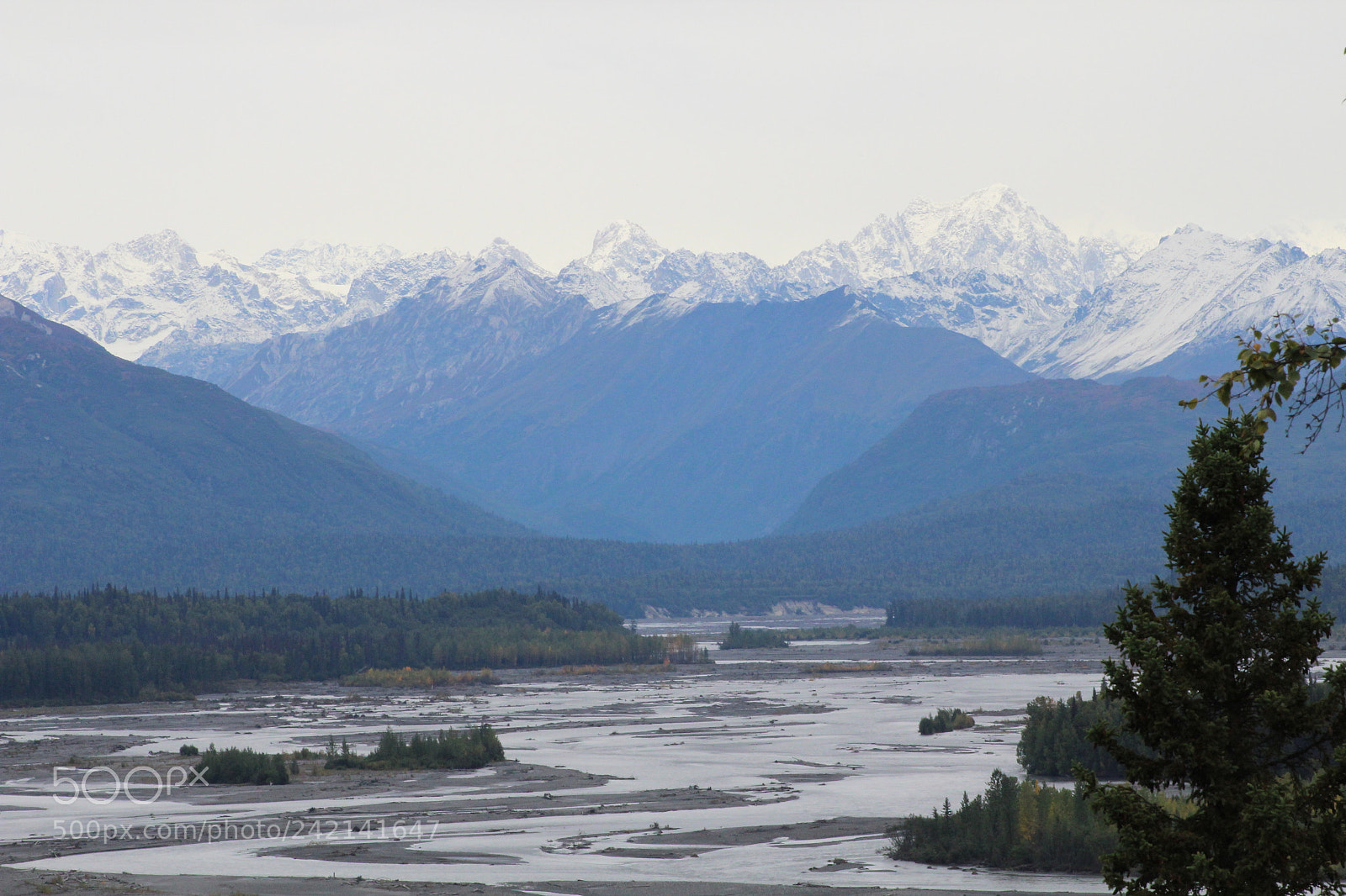 Canon EOS 1300D (EOS Rebel T6 / EOS Kiss X80) + EF75-300mm f/4-5.6 sample photo. River bank photography
