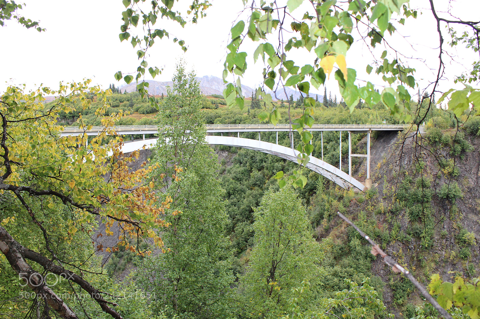 Canon EOS 1300D (EOS Rebel T6 / EOS Kiss X80) sample photo. Bridge to adventure photography