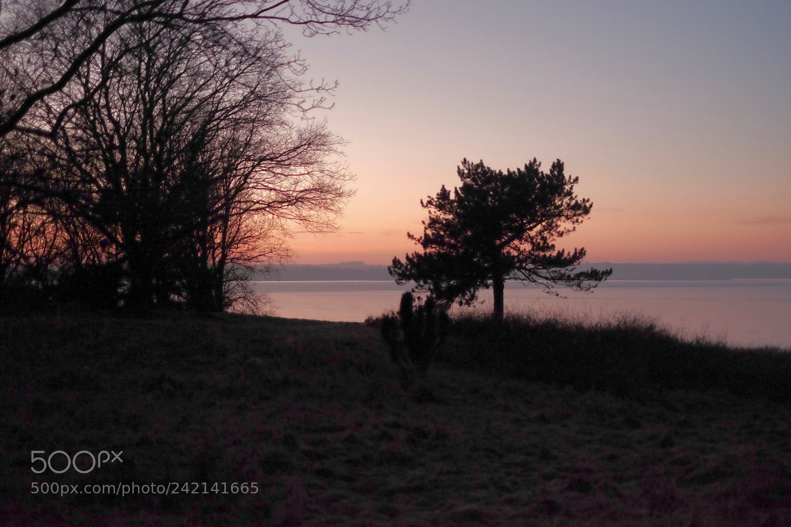 Fujifilm X-E2S sample photo. Late february sunset photography