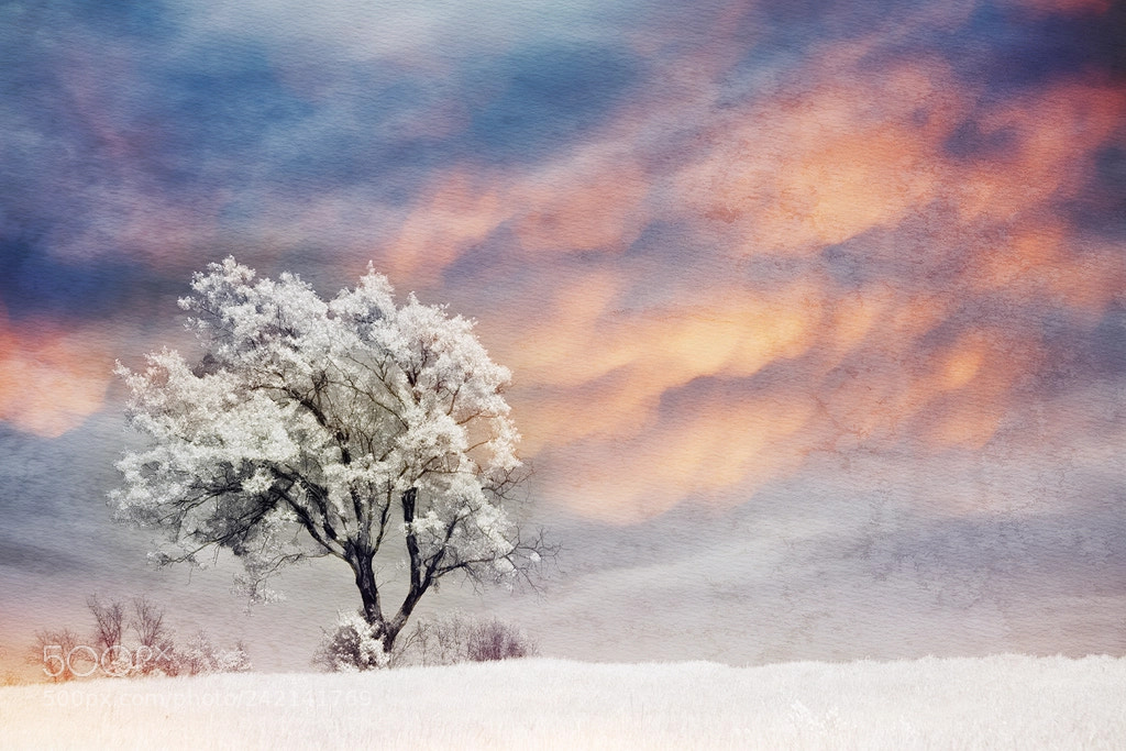 Nikon D800 sample photo. Infrared dusk photography