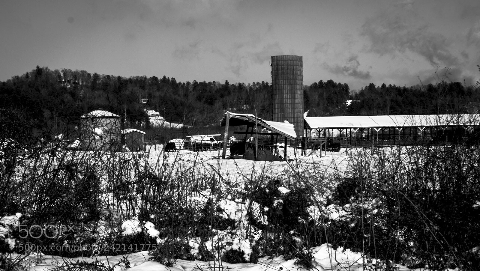 Nikon D5000 sample photo. Snow farm photography