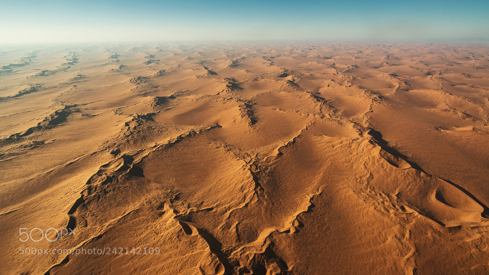 Nikon D800 sample photo. Flight over the namib photography