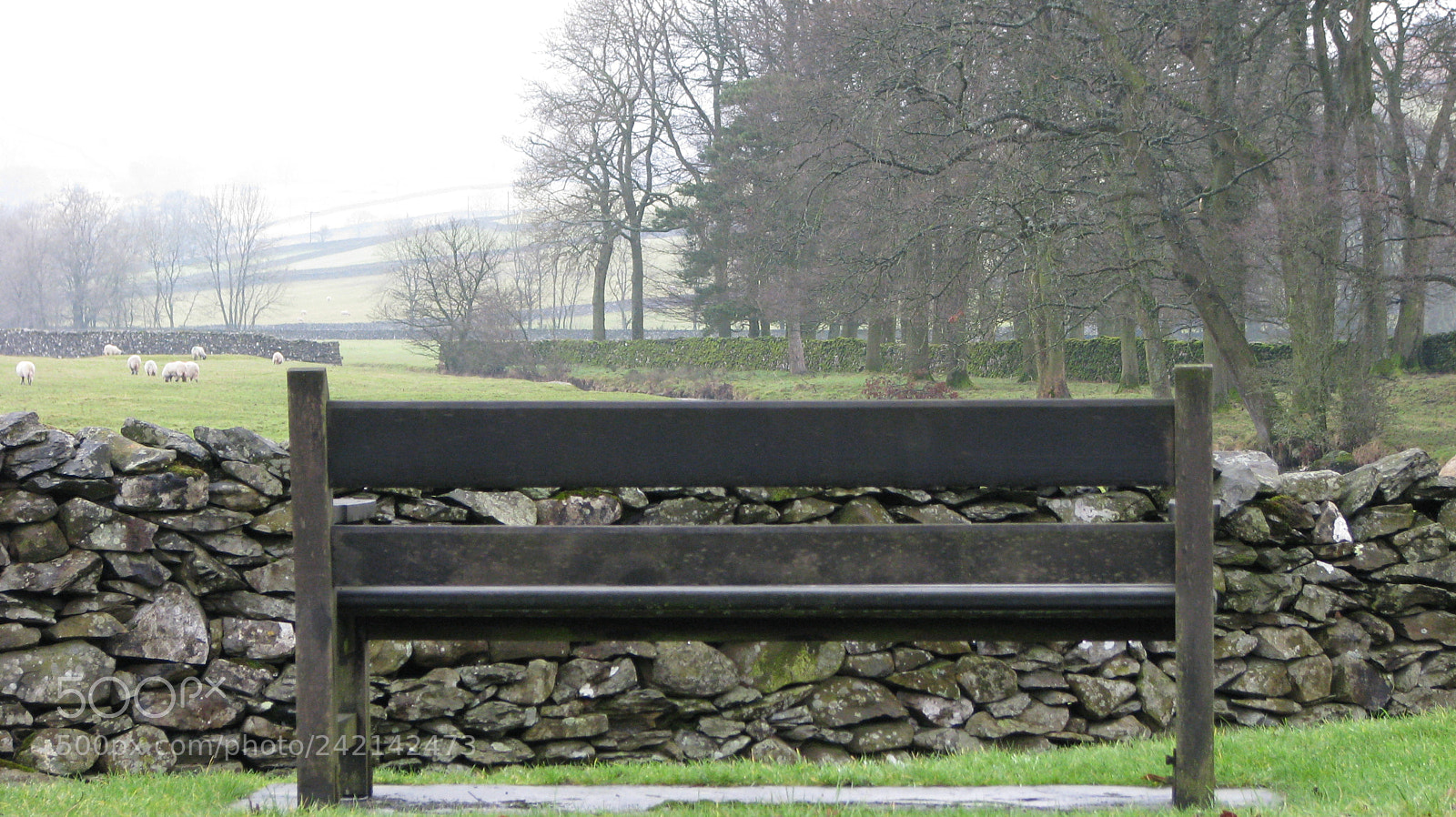 Canon POWERSHOT S5 IS sample photo. The best seat photography