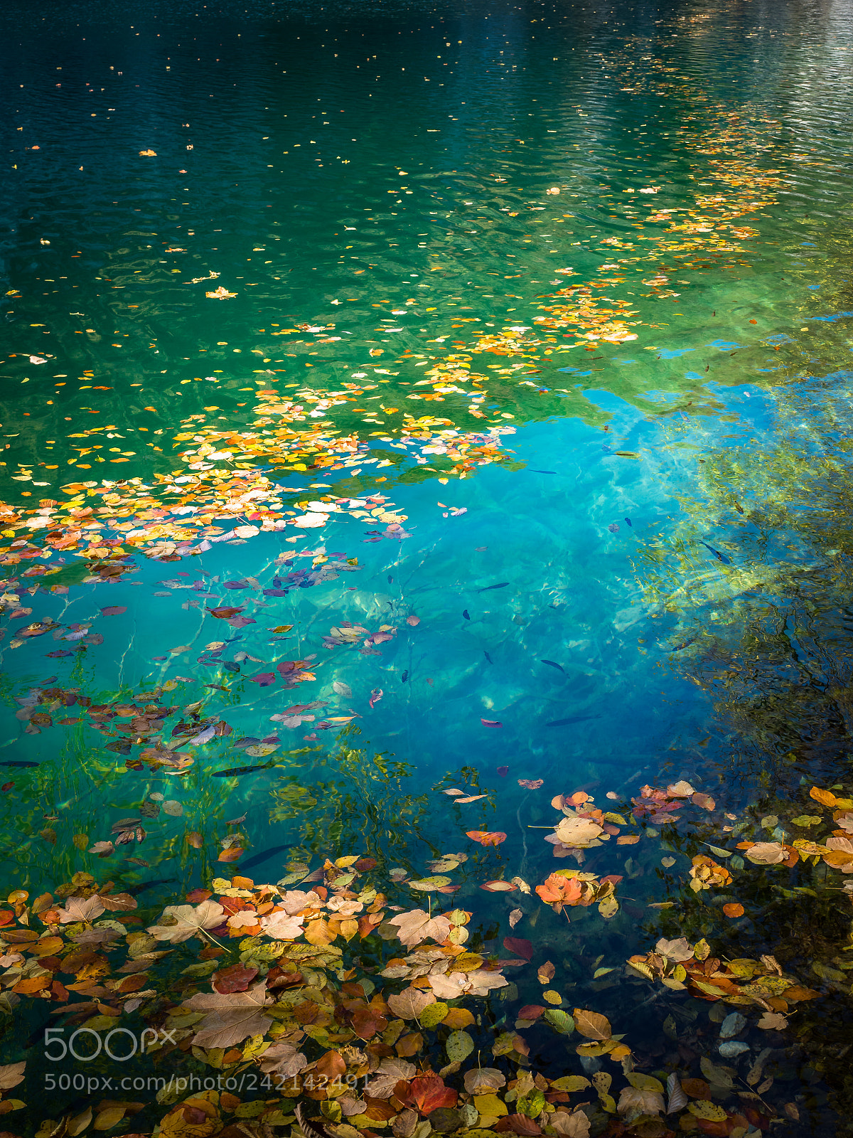 Olympus OM-D E-M1 Mark II sample photo. Go with the flow photography