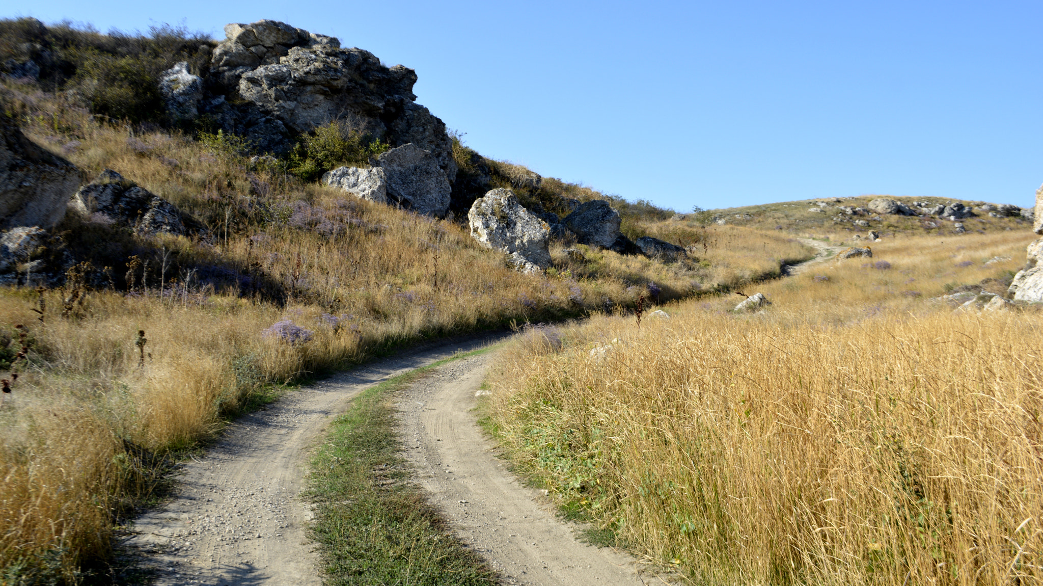 Nikon D7100 sample photo. Road in the desert photography
