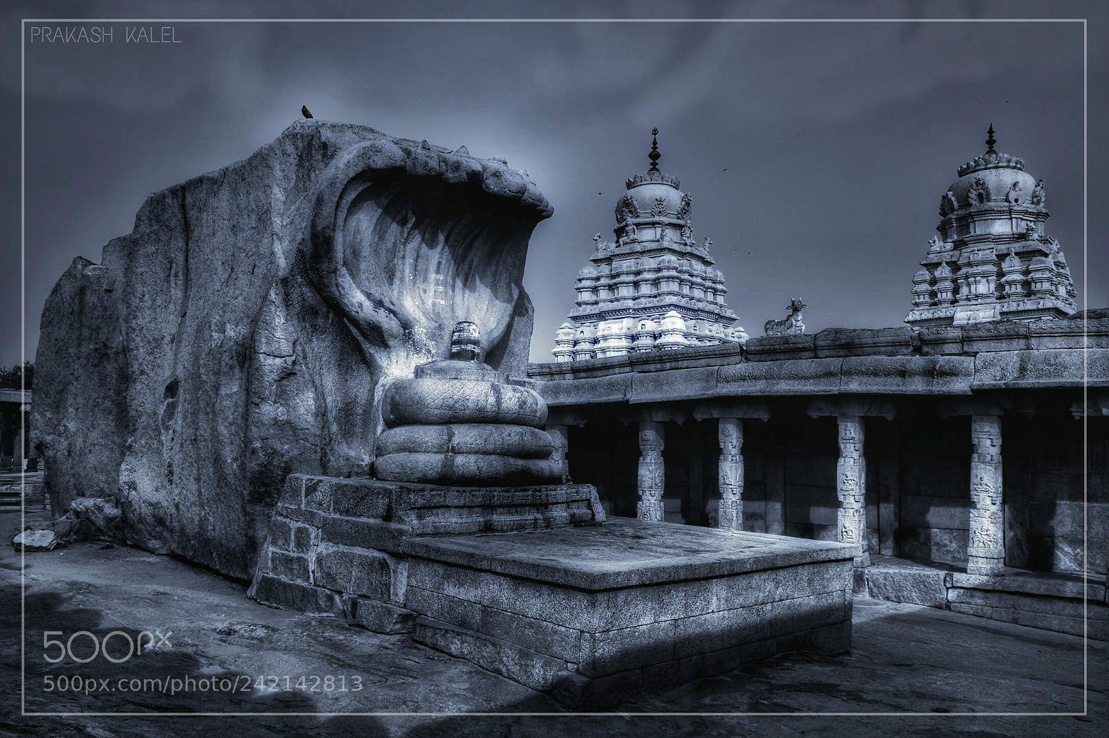 Nikon D5500 sample photo. Lepakshi bnw photography