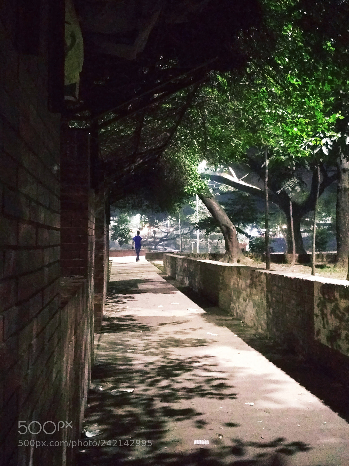 Xiaomi Redmi 4X sample photo. Untitled photography