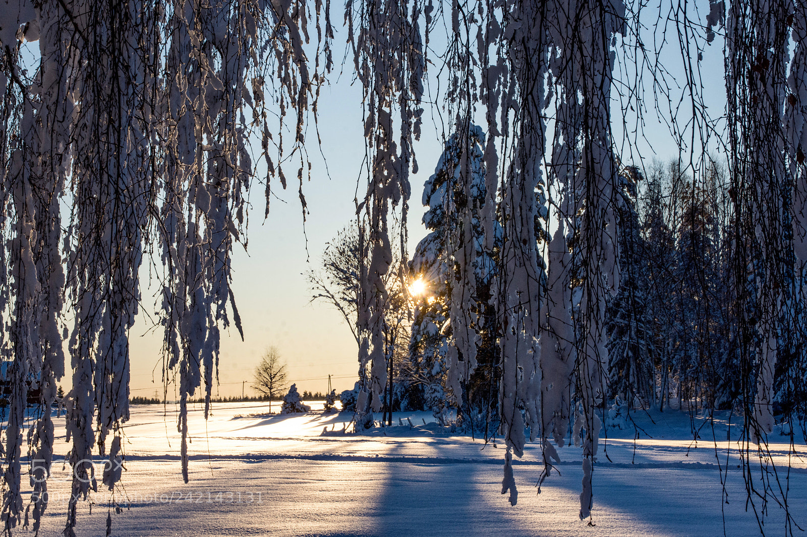 Nikon D7200 sample photo. Sunset in norway photography