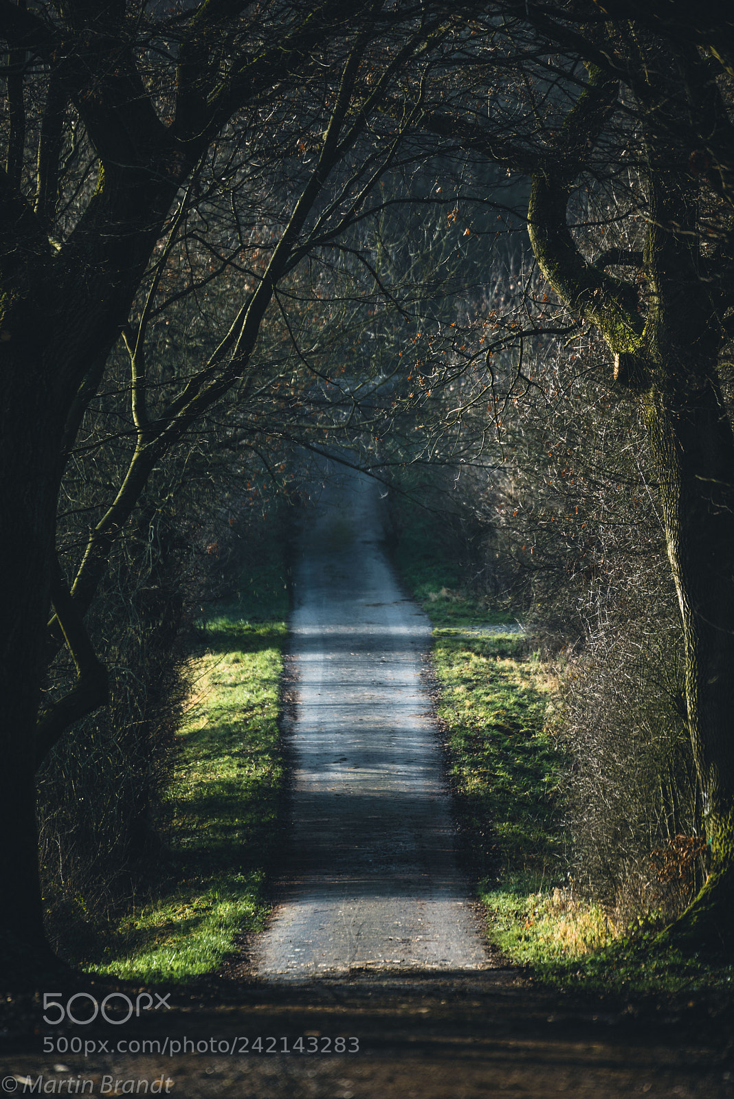 Sony a7R sample photo. 39582973831.jpg photography