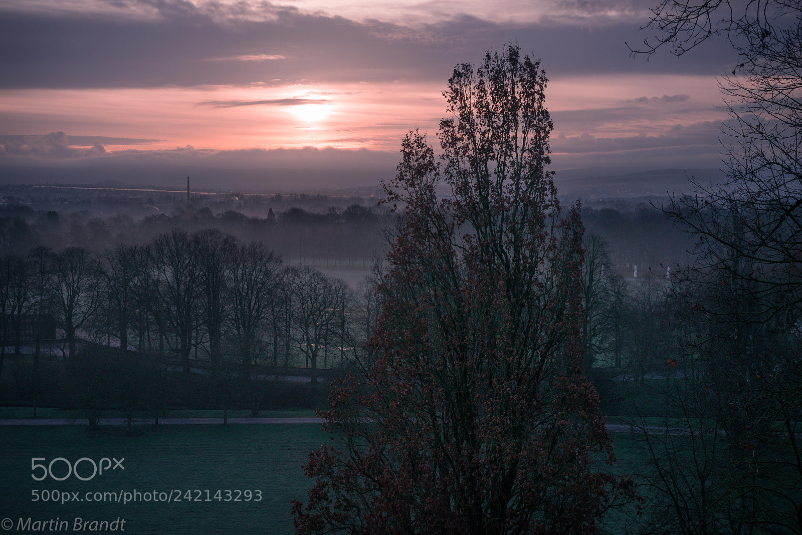 Sony a7R sample photo. 38848473594.jpg photography