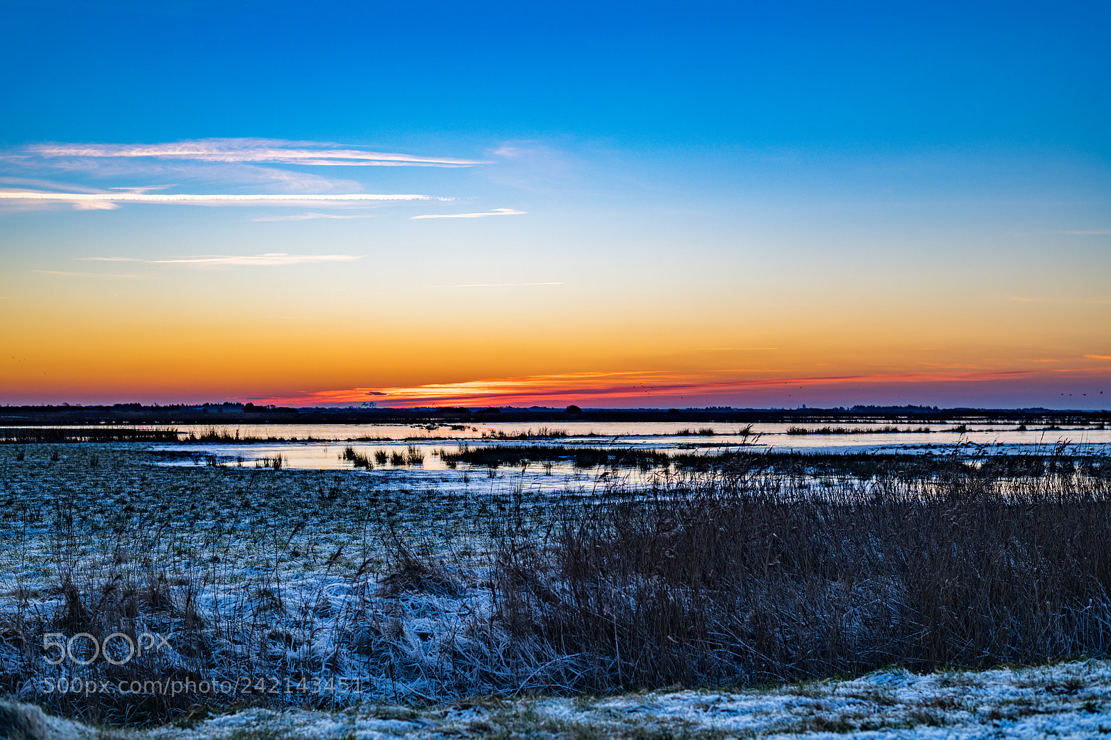 Nikon D850 sample photo. Frosty morning marshes photography