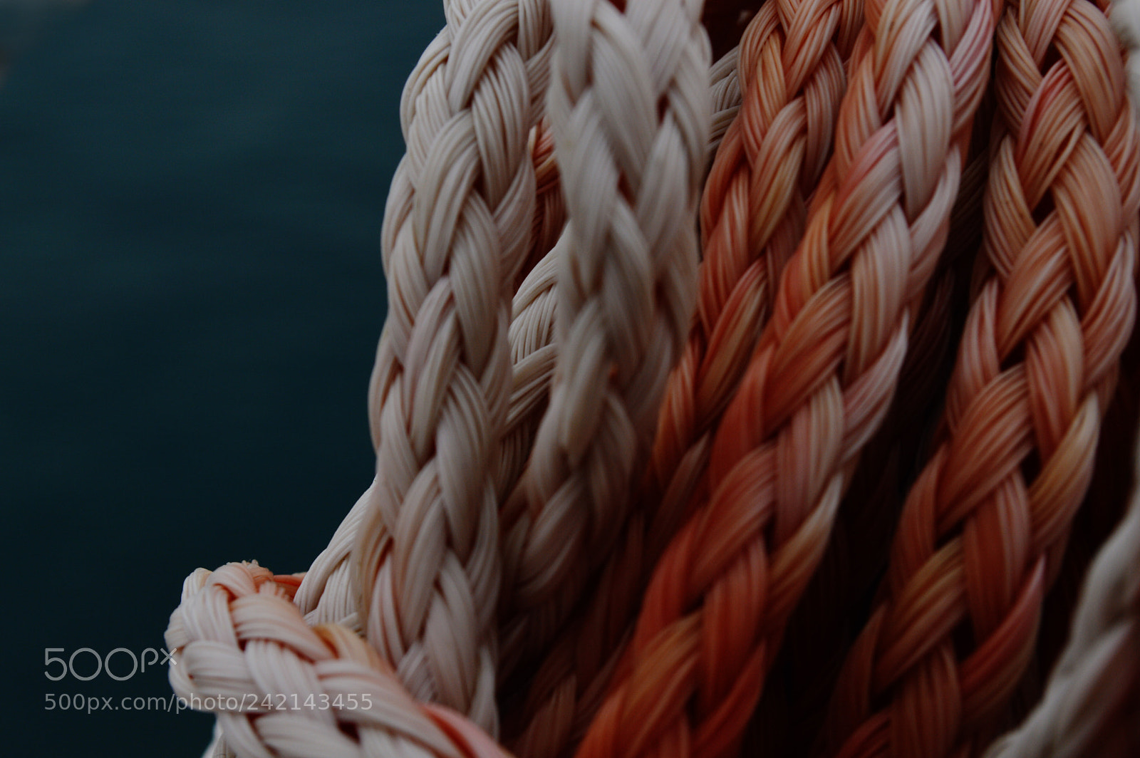 Nikon D3200 sample photo. Ropes photography