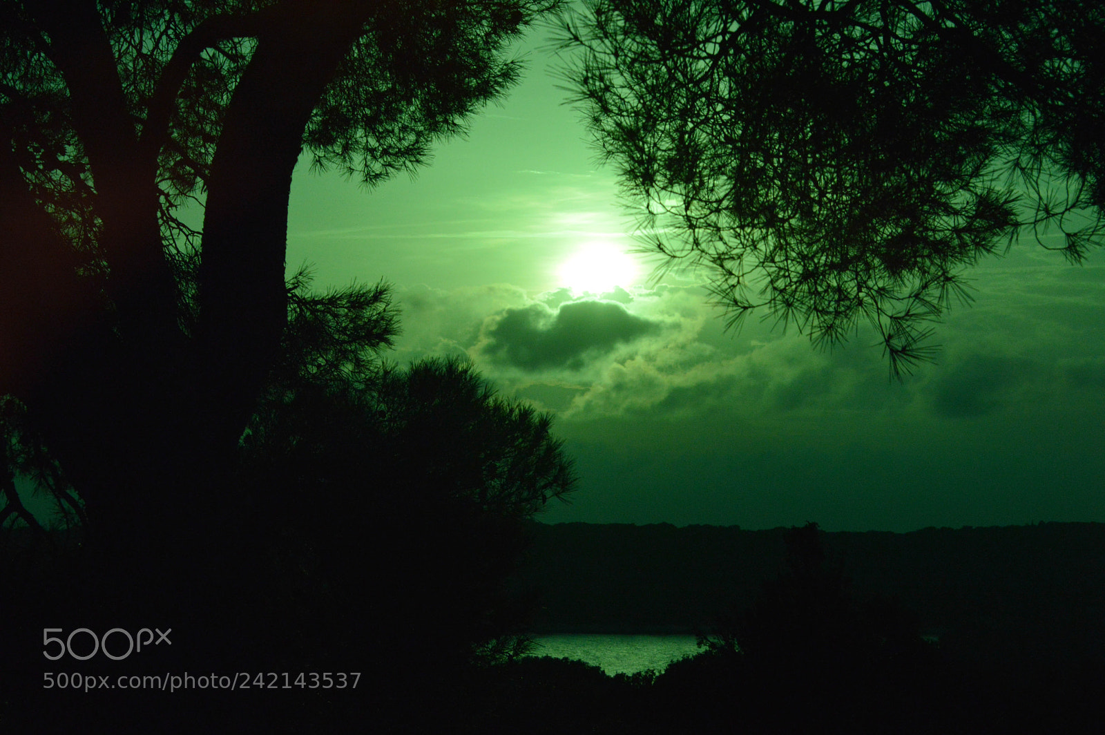 Nikon D3200 sample photo. Green sunset photography