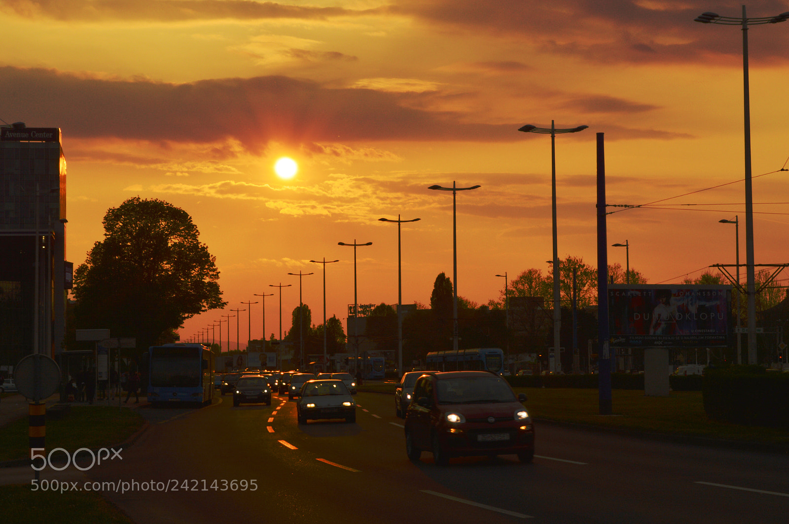 Nikon D3200 sample photo. Sunset at avenue photography