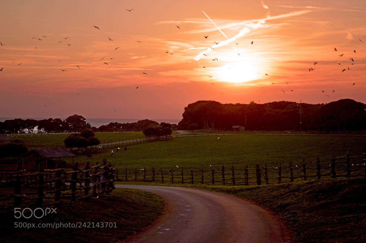 Nikon D3200 sample photo. Sunset at np brioni photography