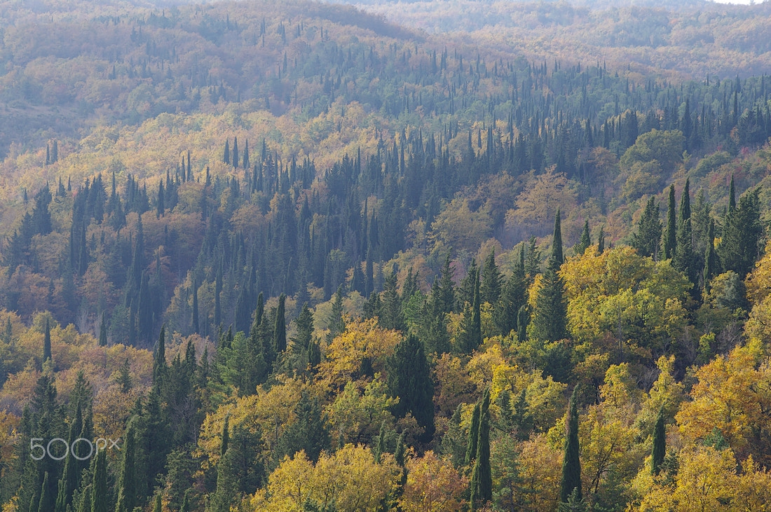 Pentax smc DA 55-300mm F4.0-5.8 ED sample photo. Colorful trees photography