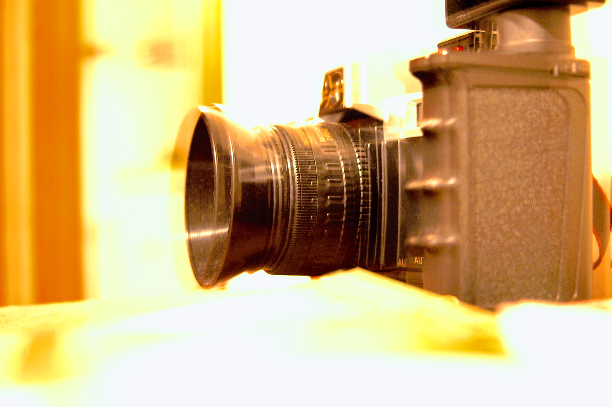 Nikon D70 sample photo. Meta photography