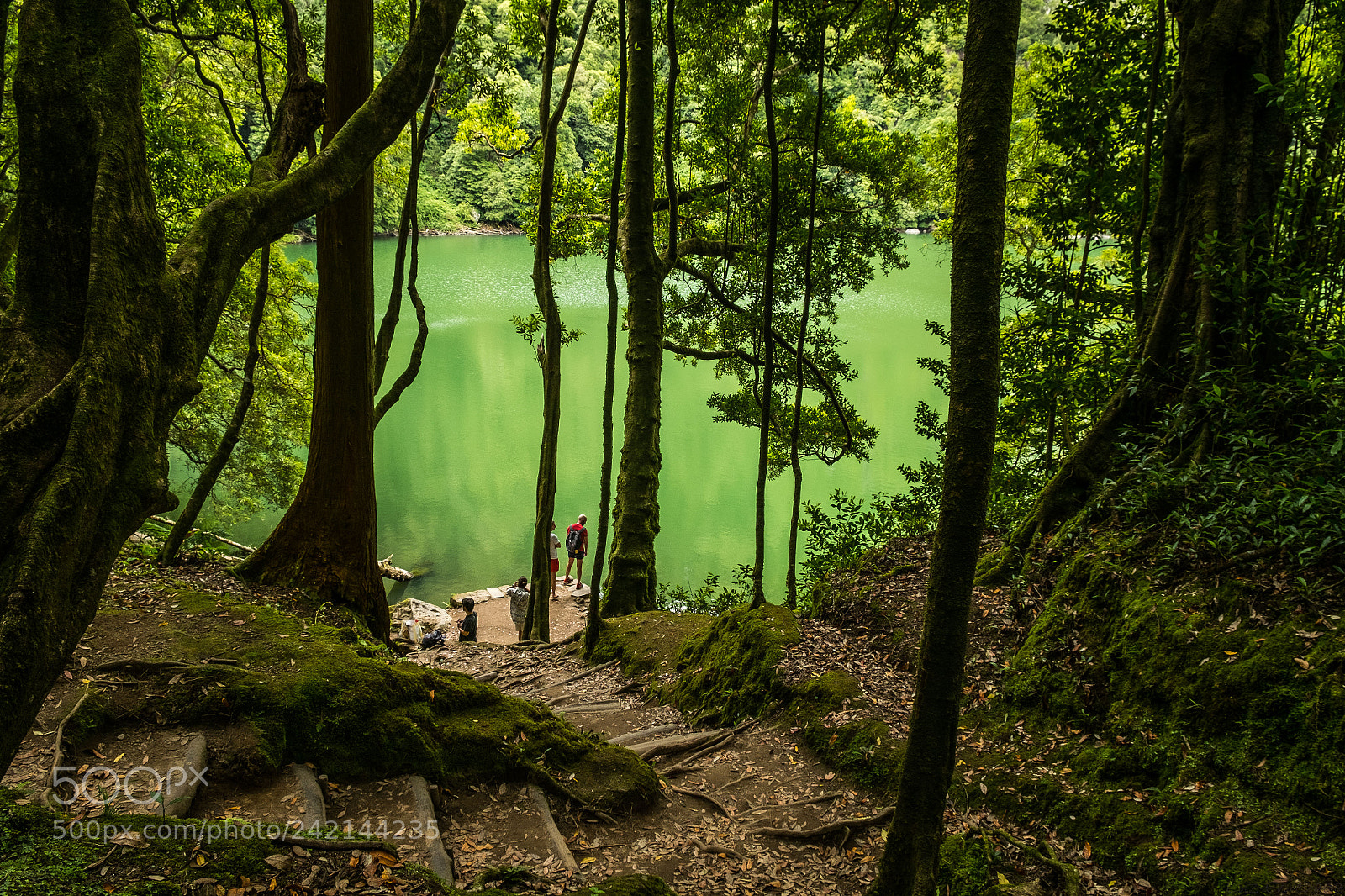 Fujifilm X-E1 sample photo. Camino al lago photography