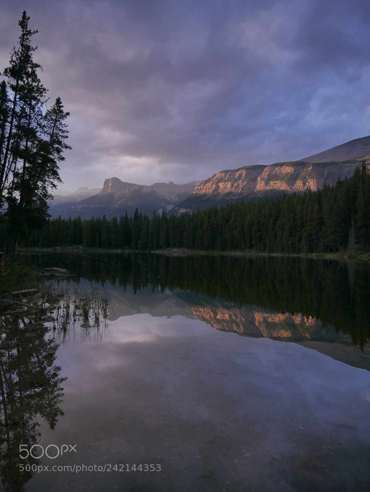 Panasonic Lumix DMC-G85 (Lumix DMC-G80) sample photo. Honeymoon lake photography