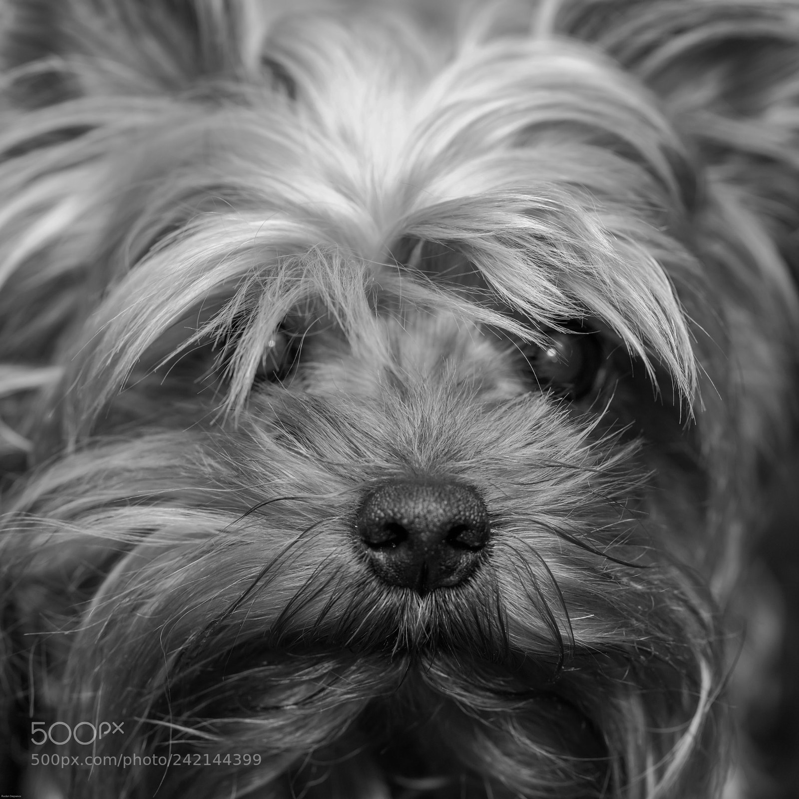 Canon EOS 5DS R sample photo. ... photography
