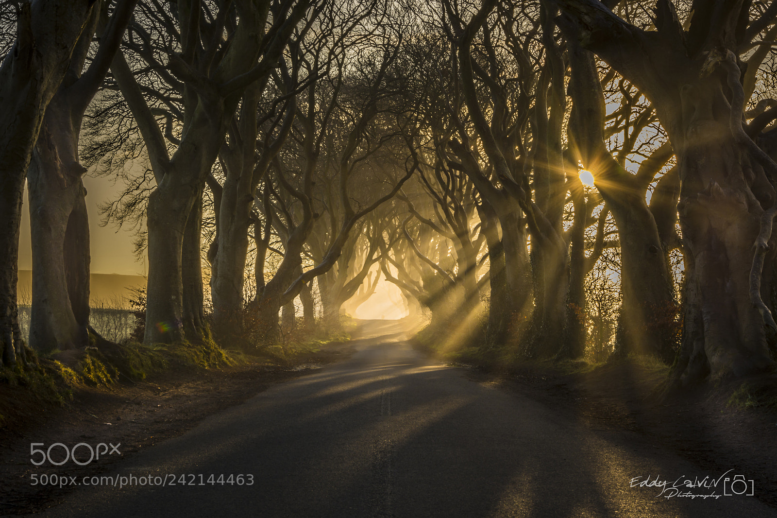 Nikon D7100 sample photo. Break of dawn photography