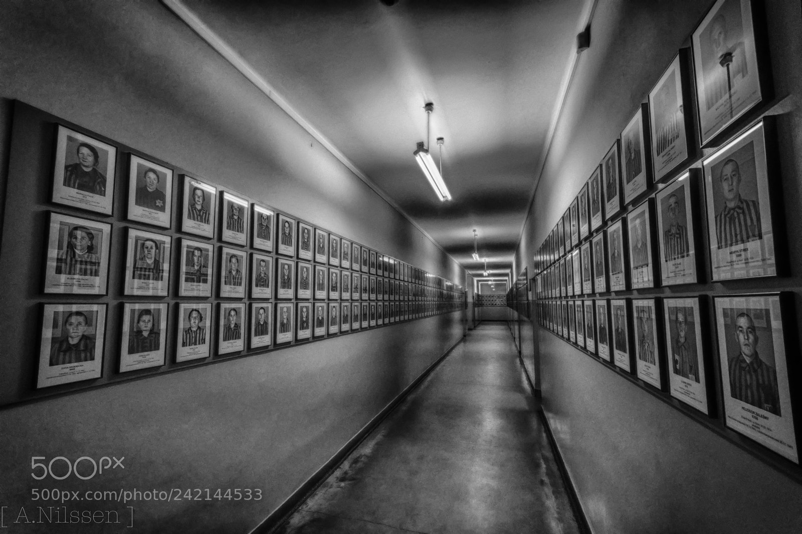 Nikon D500 sample photo. Victims of the holocaust photography