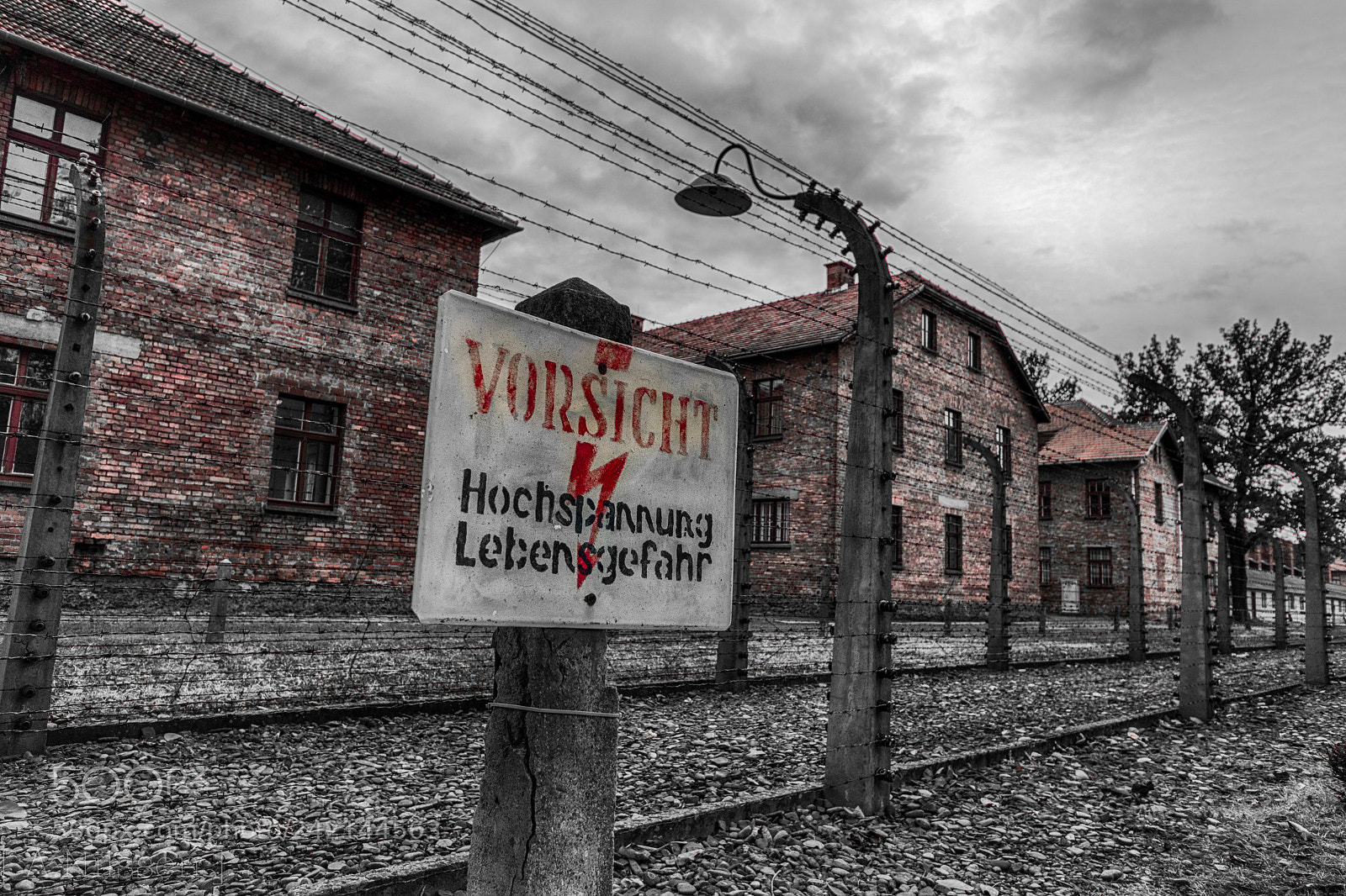 Nikon D500 sample photo. Vorsicht photography